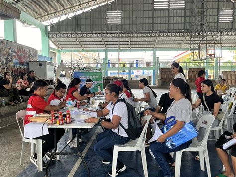 DHSUD Mimaropa .